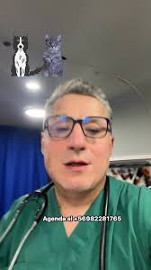 Veterinaria móvil Villarrica