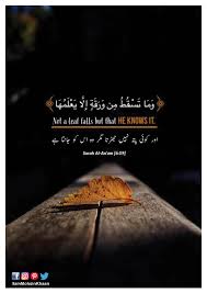 I have not that with me for which you arehastening.' there is no order but of allah. Surah Al An Am Quran 6 59 Beautiful Verses Quran Quotes Inspirational Holy Quran