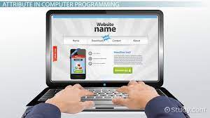 They desire a product that meets their needs and wants. What Is An Attribute In Computer Programming Definition Examples Video Lesson Transcript Study Com