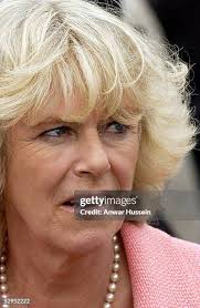 90 The Prince Of Wales And The Duchess Of Cornwall Visit The Devon County  Show Stock Photos, High-Res Pictures, and Images