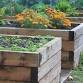Gardening for Abundance- Insitu Compost Gardening event image