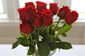 اجمل صورة وردة ورود حمراء جميلة روعه Red Rose Pictures Rose Rose Color Meanings