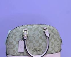 Image of محصولات کیف برند کوچ