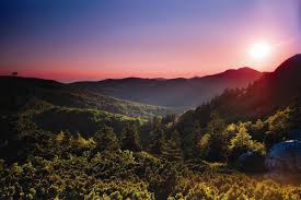 Im nationalpark leben insgesamt etwa 860 pflanzenarten und 220 tierarten. Outdoor Survival Wildlife Education At National Park Risnjak Croatia Week