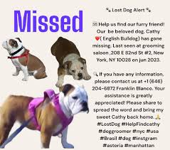 Franklin Blanco (@ingenieroblanco) • Instagram photos and videos