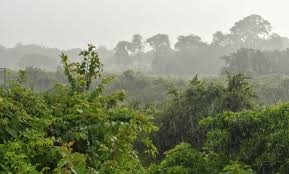 Guanajuato tendrá clima de mil sorpresas