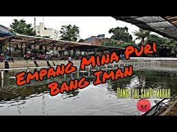 Lomba Mancing Ikan Mas Empang Iman Gang Mesjid Depan Ramayana Ciledug Youtube