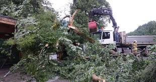 Zivilschutzalarm in hallein, mittersill und kufstein. Unwetter Im Zillertal Hagel In Kufstein Baume Sturzten Auf Hauser Und Strasse Tiroler Tageszeitung Online Nachrichten Von Jetzt