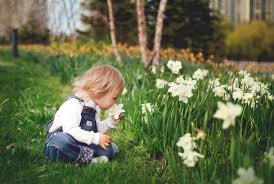 Top rated lawn care maintenance and treatment services in ok, oklahoma. Cp3 Lawn Pest Solutions Home Facebook