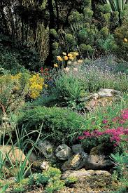 Bienvenue dans la réalité ! Comment Creer Un Jardin De Rocaille Les Bonnes Plantes