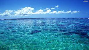 Free Ocean Wallpapers Ocean Wallpaper Ocean Ocean Backgrounds