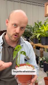 Philips Garden Center (@philipsgardencenter) • Instagram photos and videos