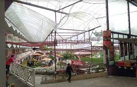 The cameron highlands is a district in pahang, malaysia, occupying an area of 712.18 square kilometres (274.97 sq mi). Tempat Menarik Di Cameron Highlands Cameron Highlands Cameron Farm Market