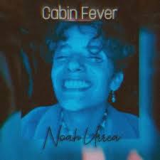 Being stuck indoors for a prolonged period of time during the winter months and suffering from depression caused from a vitamin deficiency caused by a lack of sunlight and sick of being inside. Cabin Fever Jaden Cover By Noah Urrea By Amanda Carvalho