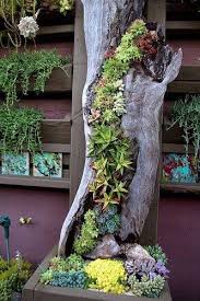 Love This Succulent Sculpture Plants Succulents Garden Planting Succulents