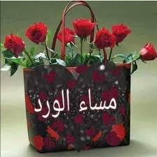 ونحن في انتظار الأجمل دائما مساء الدعوات المستجابة مساء الورد مساء نسيم مساءات نسيم christmas ornaments holiday decor novelty christmas