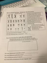 Record your diagnosis in the third column of the table, and then click on the diagnosis tab to check your answer. Solved Here Is A Human Karyotype Humans Have 46 Chromoso Chegg Com