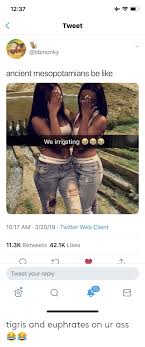 1237 Tweet Ancient Mesopotamians Be Like We Irrigating 1017 Am 32019 Twitter Web Client 113k Retweets 421k Likes T1 Tweet Your Reply 13 Tigris And Euphrates On Ur Ass Be Like Meme On Me Me