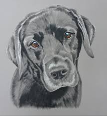 Painting, photography, line drawing & more. Jacqueline Bright Reviews Jackson S Soft Pastels Jackson S Art Blog