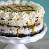 Home > recipes > cakes > zucchini, banana, walnut, and chocolate cake. Https Encrypted Tbn0 Gstatic Com Images Q Tbn And9gcslpujmh5psxambn 6xrgjoqnx1uy9esr04y3vq0u0 Usqp Cau