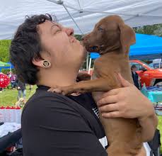 Lee Donohue — SUPERNOVA DOGS