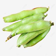 Parang comes from the spanish word know as parranda (action of merry making, group of serenaders). Gambar Kacang Parang Kesihatan Kesihatan Sayur Segar Png Dan Clipart Untuk Muat Turun Percuma