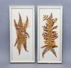 5 out of 5 stars (1,325) $ 8.00. Framed Pair Of Pressed Dried Leaves Flowers Pictures Vintage Pressed Botanical Flowers White Frames Love Vintage