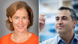 Bahareh Yousefzadeh, MBA