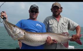 Lake St Clair Muskie Fishing