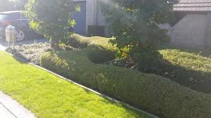 Meensesteenweg 501 8800 roeselare belgien. Tuinen Stany Demarez Project