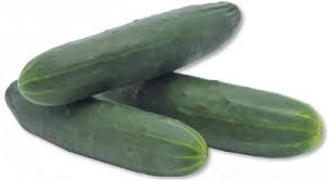 concombre noa