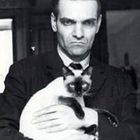 Bailey Bloom and the Battle of the Bug by Jill Rosensweig