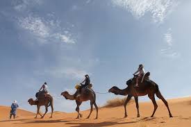 Traverse the colossal desert landscapes and experience its serenity like a king. Desert Sahara Sand Dunes Tuareg Camels Horse Riding Camel Outdoors Pxfuel