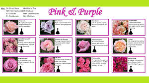 Purple wax flowers, peach david austin roses juliet and yellow coxcomb, filled with red clover, blue sea holly, rosemary, yellow craspedia and light pink astilbes. New Season Roses Ppt Video Online Download