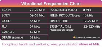 Average Vibrational Frequencies Of The Body And Foods We