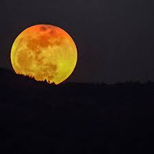 Er erscheint in der nacht vom 1. Wenn Der Mond Blutrot Wird Wissen