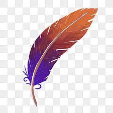 Colored Feather Pen Feather Clipart Learning Brush Feather Pen Png Transparent Clipart Image And Psd File For Free Download White Feather Pen Feather Illustration Feather Background
