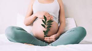 Reproductive Healthcare Rights