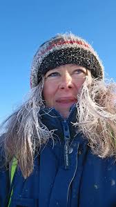 Horses For Work, Play, Healing and Learning