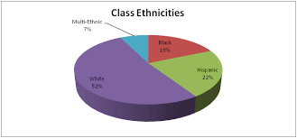 demographic profile eportfolio