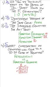 In this way, a plant with purple flowers is no more likely to be a dwarf than a plant with white flowers Pedigree Worksheet Answers Quizlet All About Genetics Webquest Quizlet