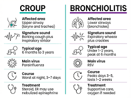 Image result for Croup