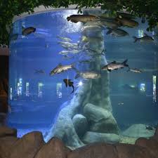 The shore oceanarium aquarium melaka | melaka attractions the shore oceanarium is a new tourist attraction in malacca. The Shore Oceanarium Melaka 2021 All You Need To Know Before You Go With Photos Tripadvisor