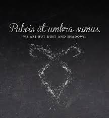 Pulvis Et Umbra Sumus It S A Line From Horace The Shadowhunters Codex Mortal Instruments Quotes Shadowhunter Quotes Latin Quotes