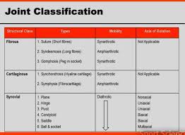 joint classification anatomy study anatomy radiology