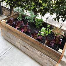Cedar planter box planter boxes san francisco canning facebook home decor window boxes decoration home room decor. Redwood Planter Box Kit Reclaimed Wood San Diego