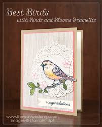 Birds And Blooms 2019 Photo Contest Winners Www Thewaywestamp Com Best Birds By Stampin Up Created For Gdp056 And Birds And Blooms Framelits Bestbirds Stampin Bee Cards Bird Cards Paper Crafts Cards