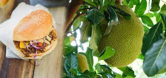Ripe jackfruit has a tropical fruit sweetness often likened to mango or pineapple. Jackfruit Leckerer Fleischersatz Doch Wie Steht Es Um Die Okobilanz