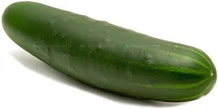 Image result for Cucumis sacleuxii