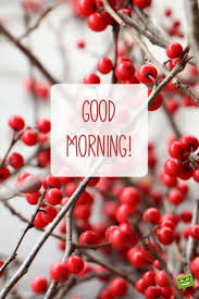 Good Morning Wish On Picture With Winter Decorative Plants The beginning of the day is the principle factor, which chooses whether your day will be great or not. good morning wish on picture with